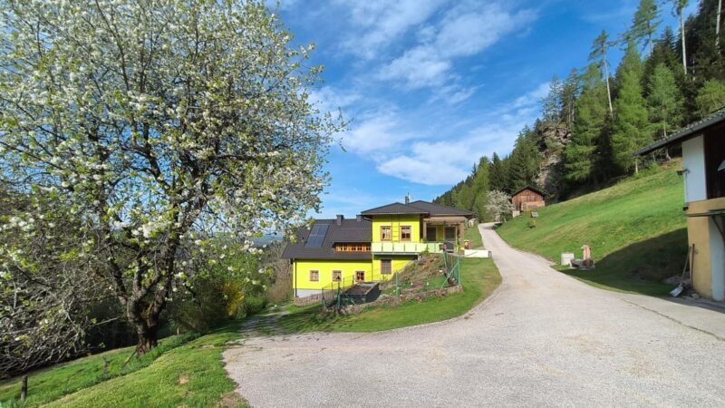 Kinderfreundliche Ferienwohnung it Garten, ideal für Familienurlaube in St. Veit, Kärnten.